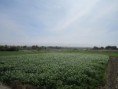/album/peru/img-1651-jpg/