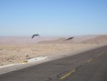 /album/peru/img-1676-jpg/