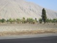 /album/peru/img-1679-jpg/