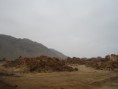 /album/chile/img-1569-jpg1/