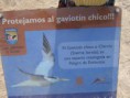 /album/chile/img-1585-jpg1/