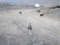 /album/chile/img-1593-jpg1/