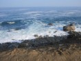 /album/chile/img-1596-jpg1/