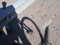 /album/chile/img-1621-jpg1/