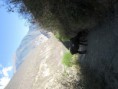 /album/peru/img-1734-jpg/