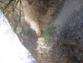 /album/peru/img-1735-jpg/