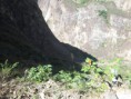 /album/peru/img-1741-jpg/
