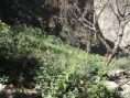 /album/peru/img-1744-jpg/