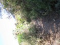 /album/peru/img-1747-jpg/