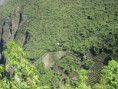 /album/peru/img-1810-jpg/