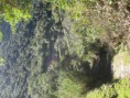 /album/peru/img-1840-jpg/
