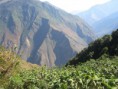 /album/peru/img-1864-jpg/